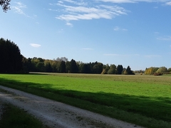 Im Herbst 2019 (9)